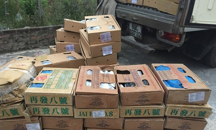 Số cá nhập lậu bị Công an huyện Gia Lâm bắt giữ, tiêu huỷ. Ảnh CQĐT cung cấp.