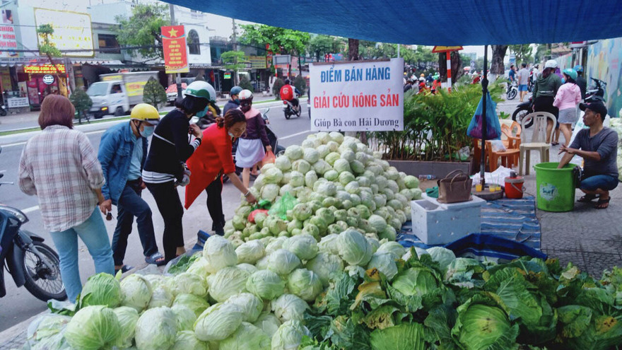 Người dân Đà Nẵng chung tay giải cứu nông sản Hải Dương 