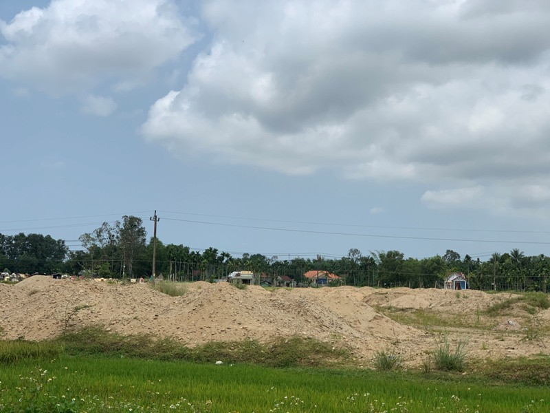 Ruộng lúa của dân bị DN san lấp trái phép - ảnh N.N 