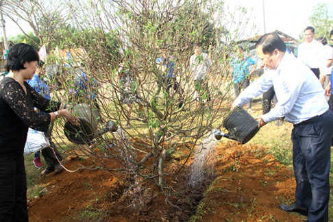 Tại buổi phát động các đơn vị đã tổ chức trồng 60 cây hoa đào tại Vườn hoa đào thanh niên xã Vĩnh Sơn (huyện Vĩnh Thạnh, tỉnh Bình Định). Ảnh: Tr.Định