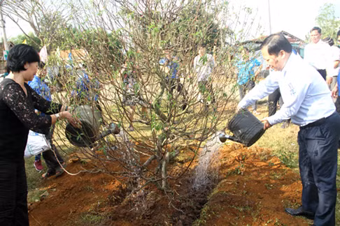 Tại buổi phát động các đơn vị đã tổ chức trồng 60 cây hoa đào tại Vườn hoa đào thanh niên xã Vĩnh Sơn (huyện Vĩnh Thạnh, tỉnh Bình Định). Ảnh: Tr.Định