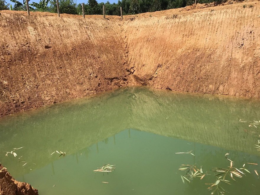 Giếng nước “khủng” có diện tích 1.000m2 để chống hạn của lão nông Ngô Tài. Ảnh Nguyễn Ngọc