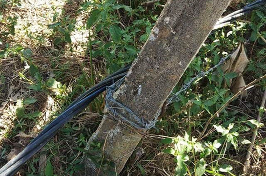 Đường dây điện 3 pha nằm sát mặt đất khiến 2 vợ chồng ông Đ. bị điện giật tử vong tại chỗ.