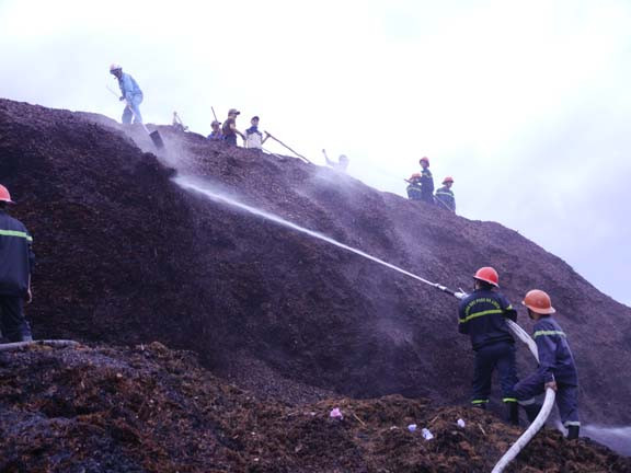 Hiện trường đám cháy xảy ra tại kho dăm gỗ của Công ty TNHH Trường Phát. Ảnh: Tr.Định