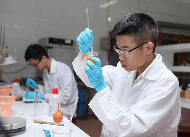 Đinh Quang Hiếu. (Ảnh: Quý Trung/TTXVN)