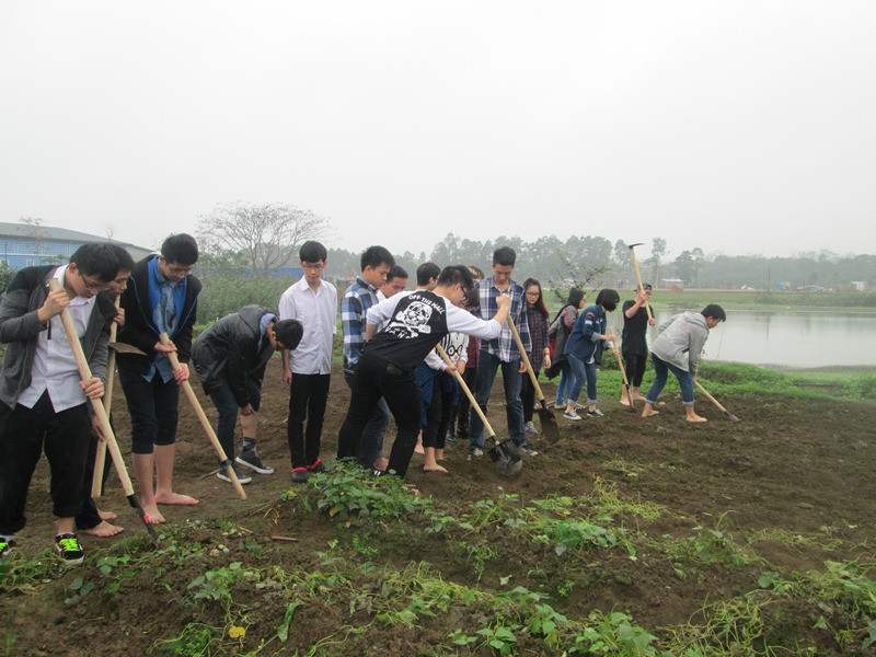 Học sinh FPT trải nghiệm dự án trồng rau sạch tại khuôn viên trường
