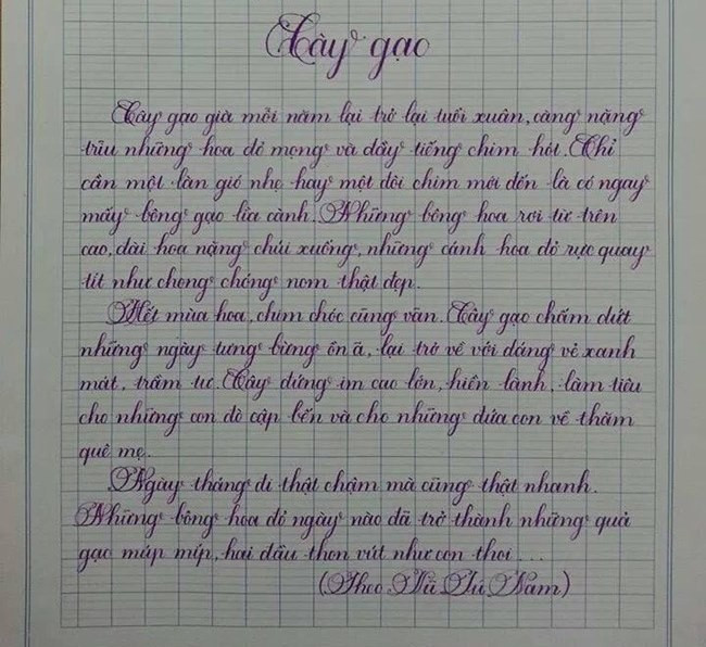 Dân mạng tranh luận với chữ đẹp của học sinh cấp 1