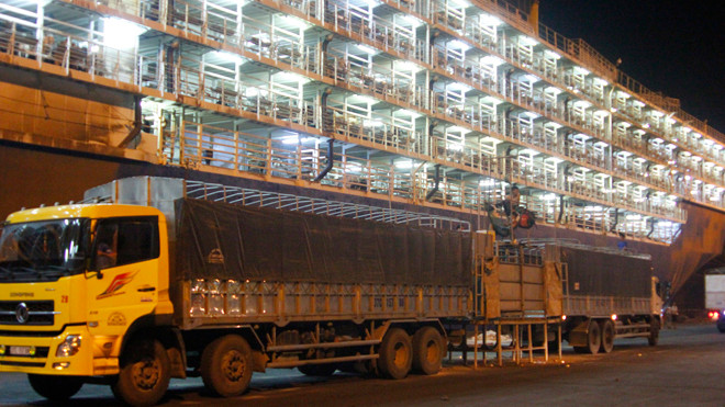 Hàng hóa được bốc dỡ tại Cảng Vũng Áng - Việt Lào. 