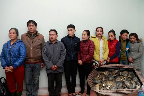 Các đối tượng bị bắt giữ trong vụ bắt giữ số lượng tê tê mới đây ở Hà Tĩnh, bà Hường đứng ngoài cùng bên phải