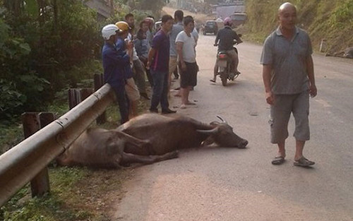 Hiện trường vụ tai nạn.