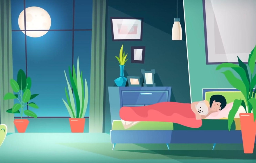 Các loại cây có khả năng 'quang hợp ngược' mà bạn nên để trong phòng ngủ