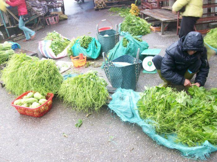 Rau, hoa Sapa rớt giá thảm