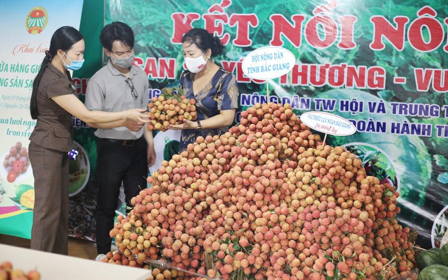 Nông dân có thêm kênh bán nông sản trong mùa dịch COVID-19