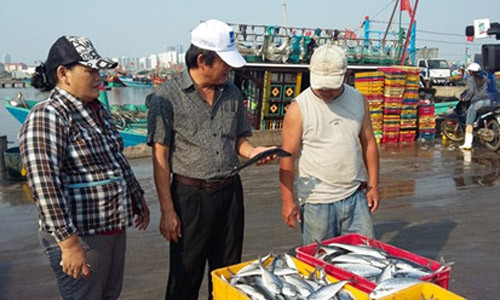 Kiêm tra cá tại cảng. Ảnh: Lao Động