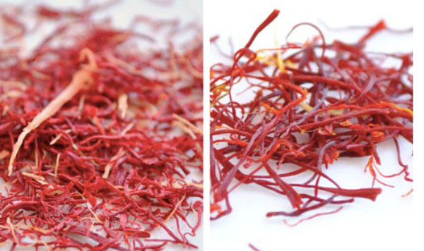 Nhuỵ hoa nghệ tây thật (phải), nhuỵ hoa nghệ tây giả (trái).