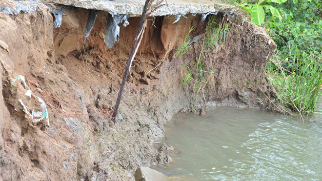 Đoạn sạt lở ở ấp Phú B1, xã Phú Hữu (Châu Thành) gây cắt đứt giao thông trên đoạn này.