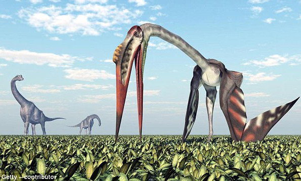 Khủng long mới phát hiện cánh dài 11 m.