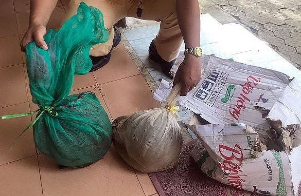 Bắt xe khách chở động vật hoang dã trái phép tại Quảng Nam