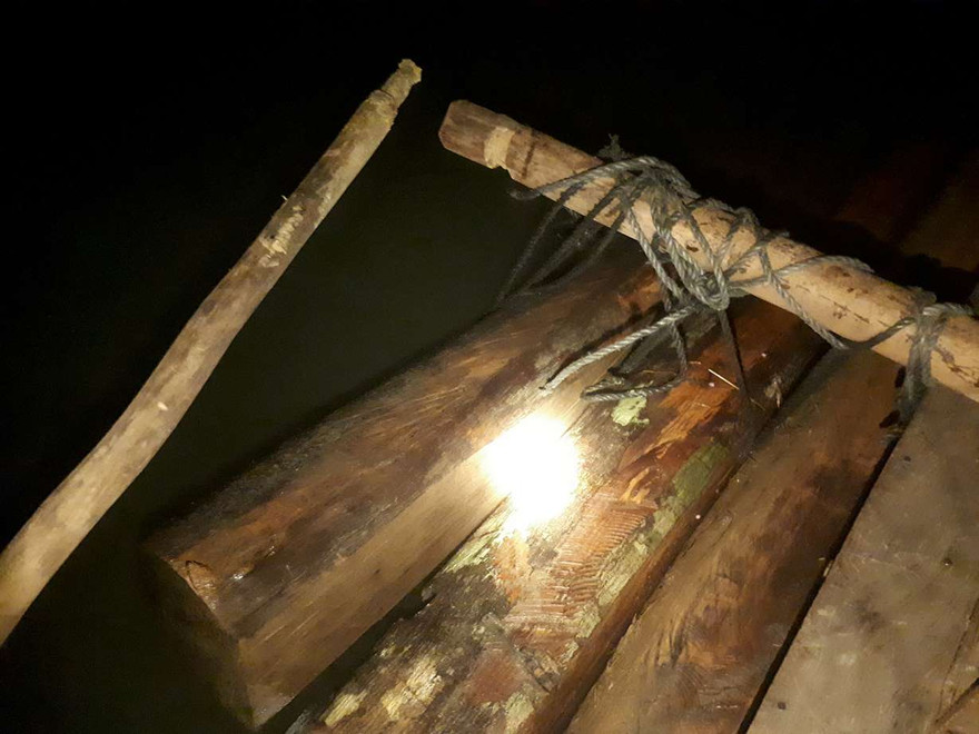 Gỗ lậu vận chuyển trong đêm