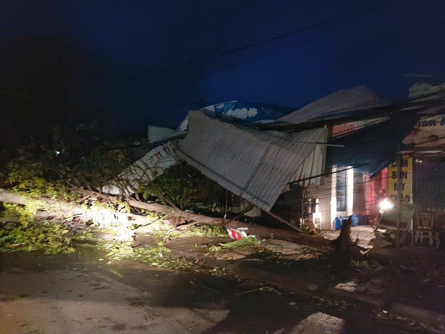 khung cảnh hoang tàn sau bão