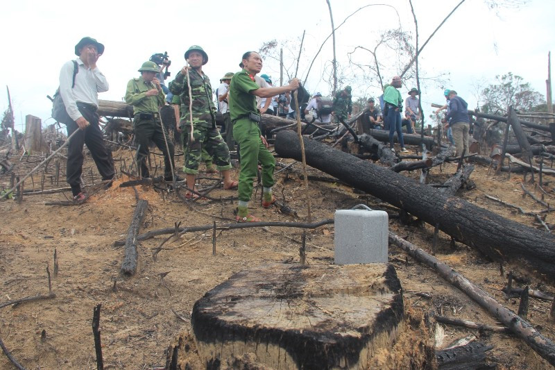 Kỷ luật hàng loạt cán bộ kiểm lâm do để xảy ra phá rừng phòng hộ