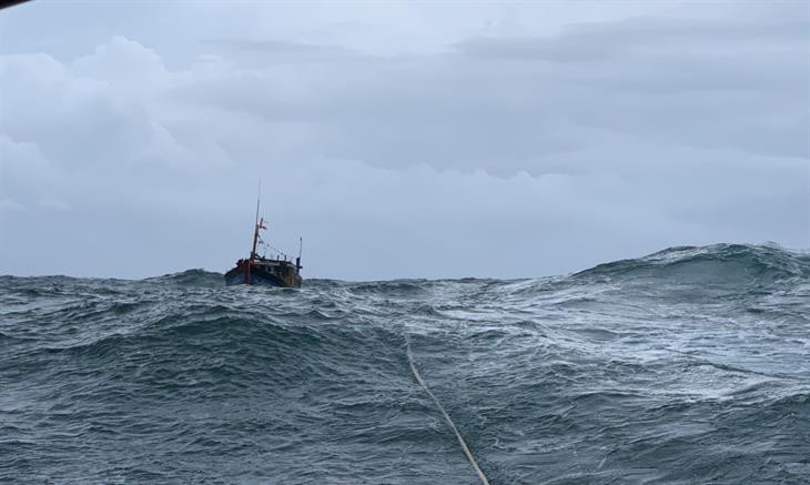 Ảnh minh họa (Nguồn Internet)