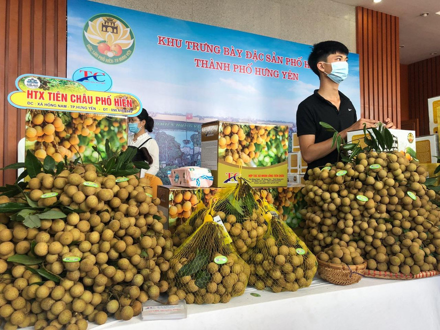 Đưa nhãn lồng Hưng Yên lan tỏa ra thị trường quốc tế từ năm 2022