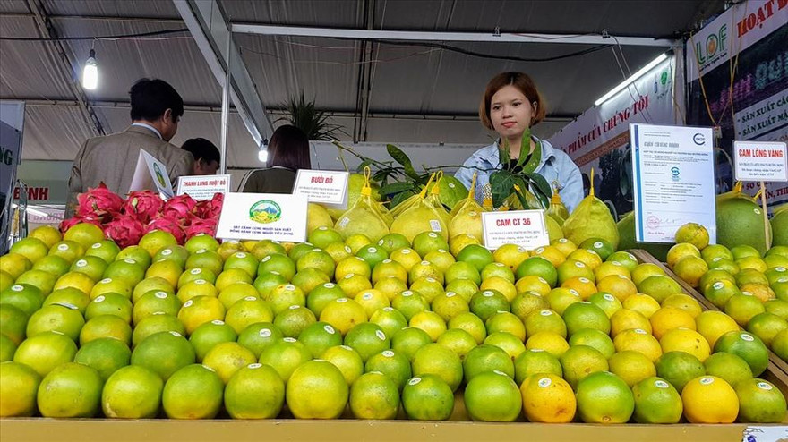 Xuất khẩu rau, quả có thể cán mốc 3,5- 4 tỷ USD năm nay 