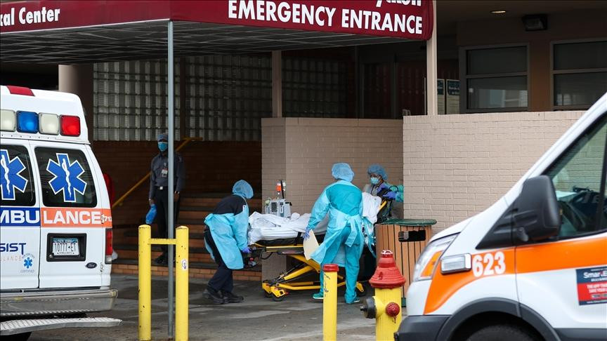 Mỹ: Bùng phát nhiễm khuẩn salmonella từ hành tây 