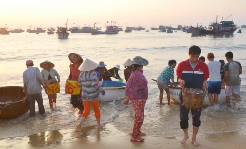 Ngư dân trúng đậm ngàn tấn thủy hải sản trong chuyến ra khơi đầu năm