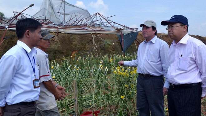  Lãnh đạo tỉnh Lâm Đồng kiểm tra khu vực bị thiên tai, nhà kính trồng hoa bị ngã đổ, rách nát