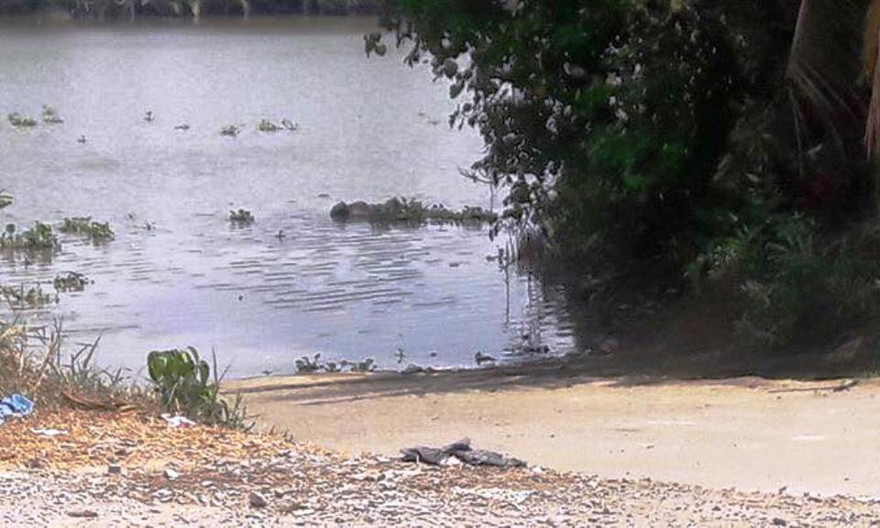 Vị trí phát hiện thi thể