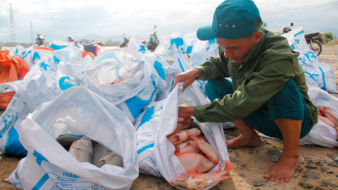 Hàng chục tấn cá đắt tiền chết bất thường, người dân trắng tay