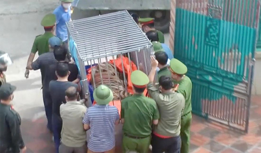 Huyện, xã nói gì về việc người dân nuôi hơn chục con hổ giữa làng?