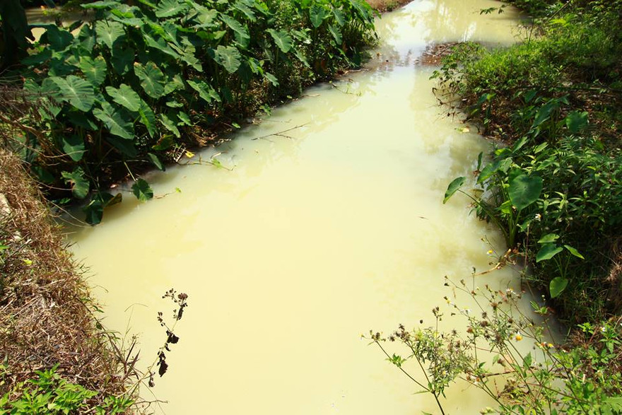 Kênh thoát nước mưa KCN ở Đà Nẵng đổi màu trắng đục bất thường