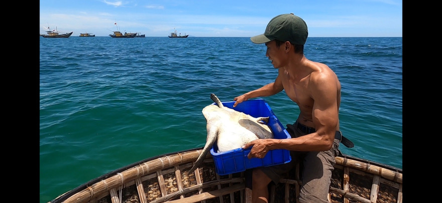 Thanh niên xứ Quảng trộm 18kg ‘mồi nhậu’ của cha thả xuống biển