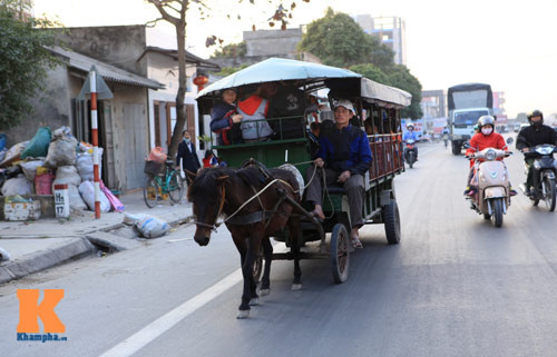 Đối với người dân nơi đây, việc các em được đưa đón đến trường bằng xe ngựa đã quá quen thuộc