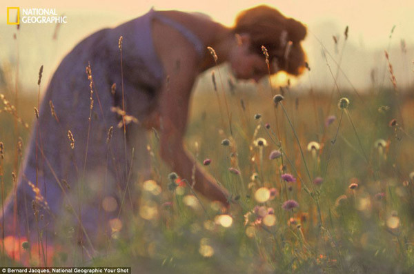 Những bức ảnh làm bạn yêu đời hơn