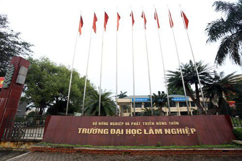 Bộ Giáo dục thanh tra 4 trường đại học