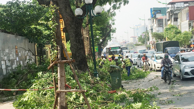 Chặt cành cây vào giờ cao điểm, gây ùn tắc kéo dài trên đường Lê Duẩn.