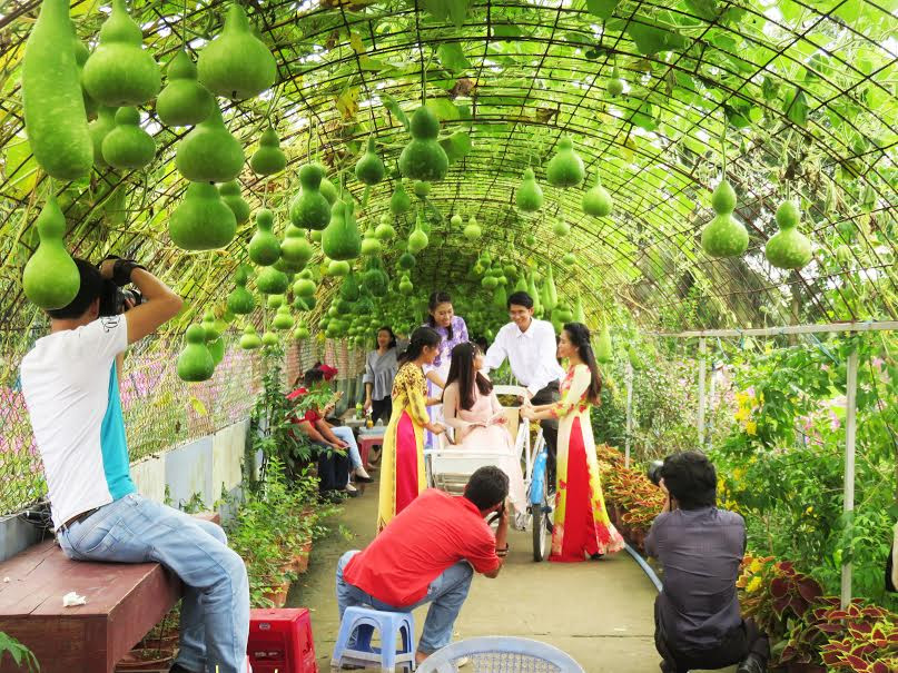 Đường vào vườn hoa gây ấn tượng bởi giàn bầu hồ lô