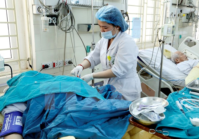 Ảnh minh họa. (Nguồn: TTXVN)