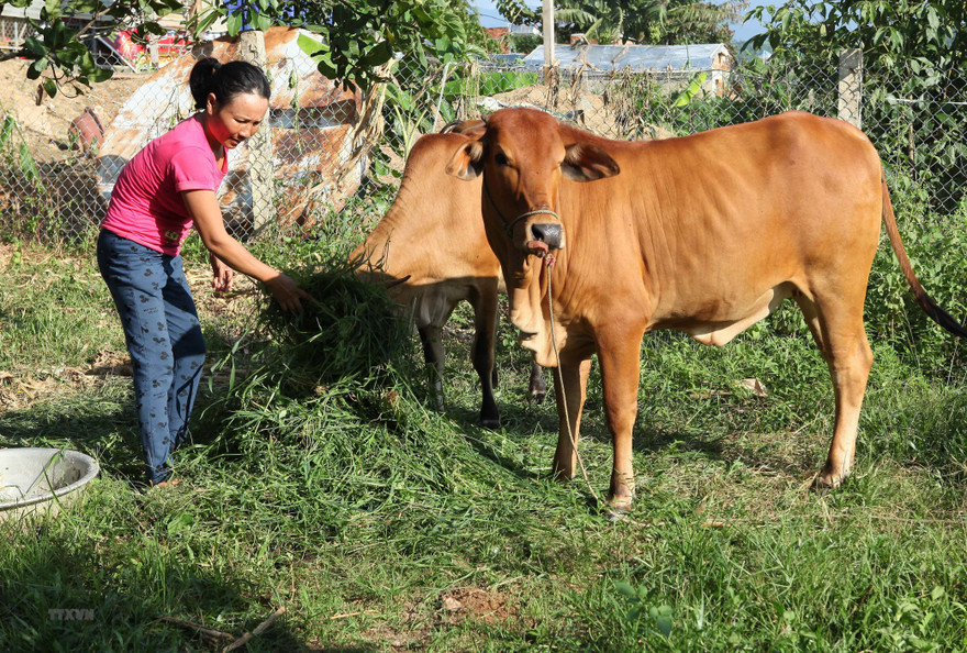 Dự kiến, trong tháng 6 Bộ LĐ-TB&XH sẽ trình Thủ tướng xem xét, ban hành các tiêu chuẩn mới về hộ nghèo, cận nghèo trong giai đoạn 2021-2025