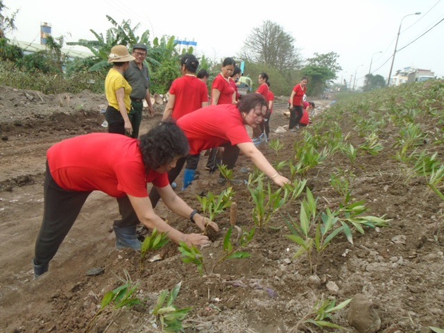 Nhân rộng mô hình vườn hoa trên nền phế thải.