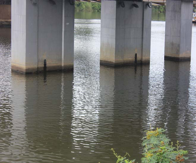 Nơi phát hiện thi thể nạn nhân. 