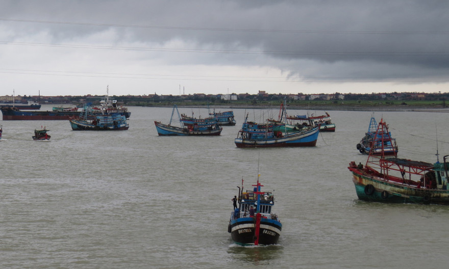 Tàu thuyền vào nơi tránh bão.