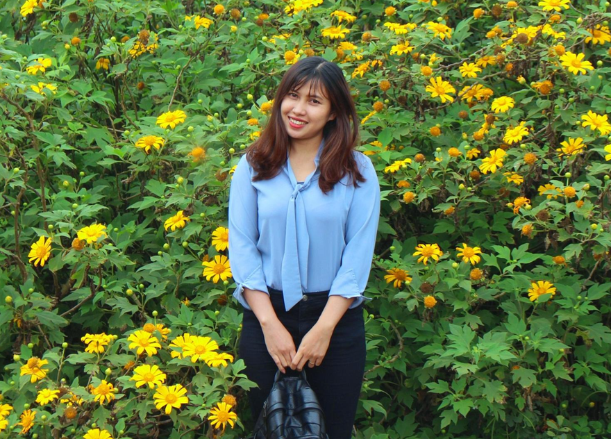 Hoa dã quỳ níu chân bao lữ khách chụp hình, ngắm nhìn