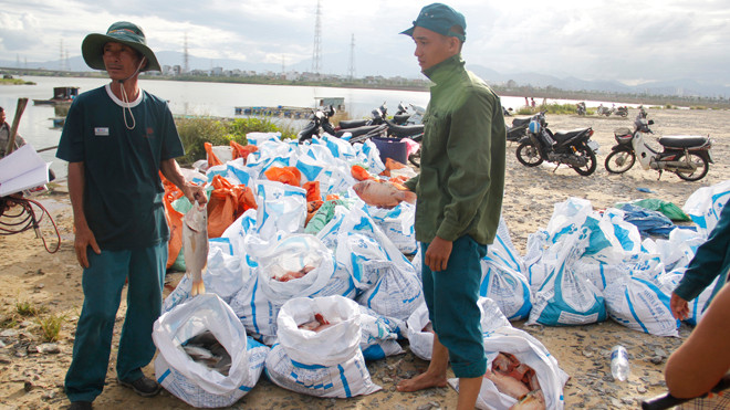 Nông dân trắng tay vì cá sắp tới ngày thu bỗng chết sạch. Ảnh: Thanh Trần.