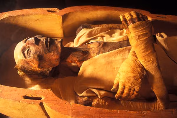 Là người đứng đầu bộ máy chính trị, pharaoh Ai Cập ban hành các điều luật, sở hữu mọi của cải trong nước, phát động các cuộc chiến tranh hay tiến hành cuộc chiến bảo vệ đất nước khi có giặc ngoại xâm... 