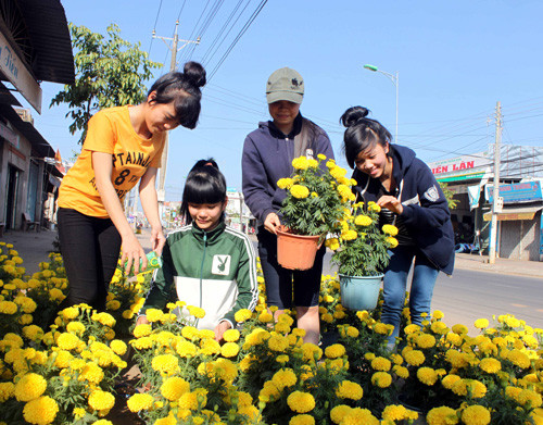 Nhóm học trò lớp 11 bán bông dọc tỉnh lộ 713 (qua địa bàn xã Đức Hạnh, huyện Đức Linh, tỉnh Bình Thuận) - Ảnh: Như Lịch